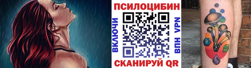 Купить Юрюзань Псилоцибиновые грибы MAGIC MUSHROOMS