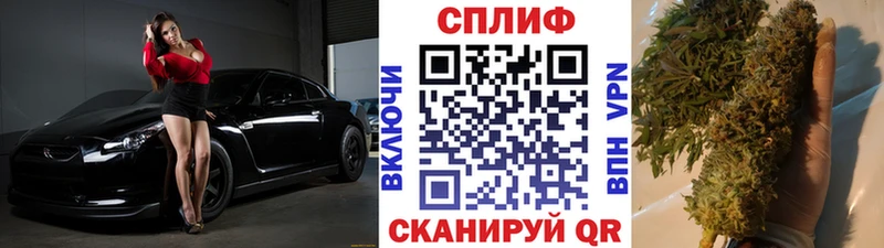 Купить закладки  Юрюзань  Бошки марихуана план 